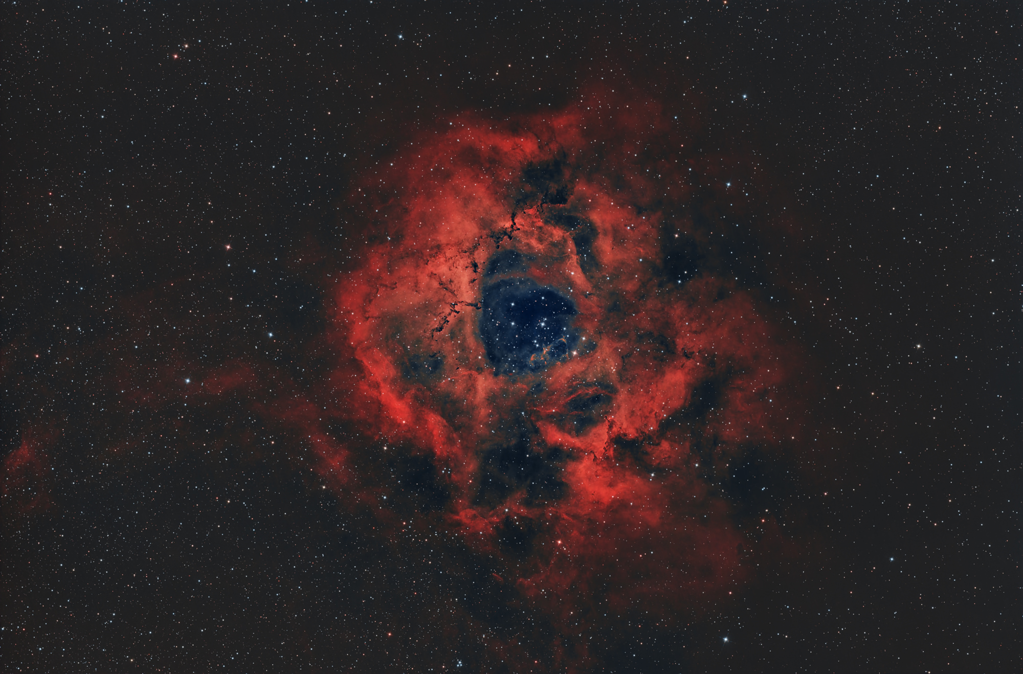 Der Rosettennebel (Caldwell 49) ist eine H-II-Region, die sich am Rand einer riesigen Molekülwolke in der Einhorn-Region der Milchstraße befindet. Die Sterne des offenen Sternhaufens NGC 2244 im Zentrum sind aus der Materie des Nebels entstanden.